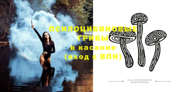 соль курить ск Богородицк