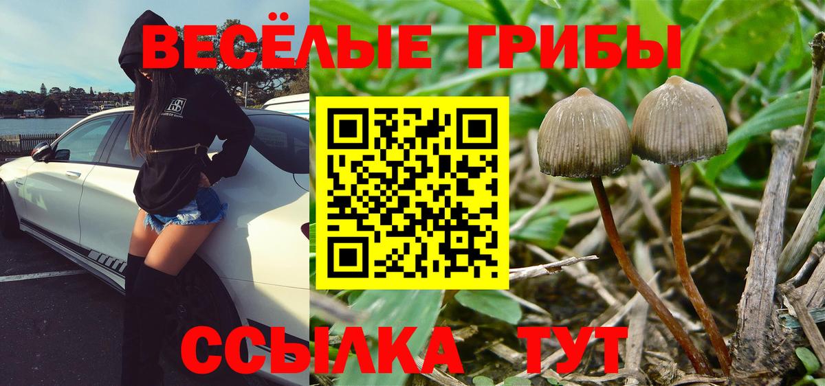 Галлюциногенные грибы GOLDEN TEACHER Наро-Фоминск